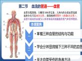 2022人教版生物七下第四章第二节血流的管道——血管课件PPT