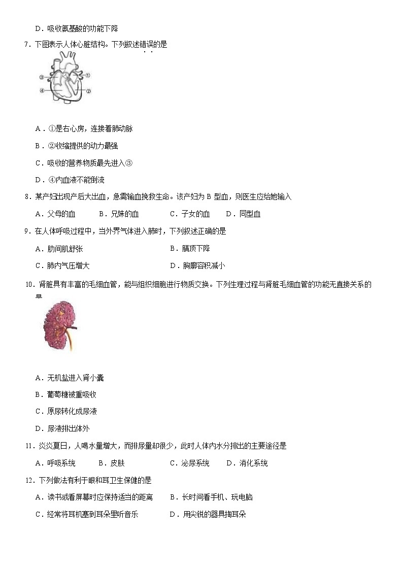 2021北京石景山区八年级（上）期末生物试题（原卷版）第2页