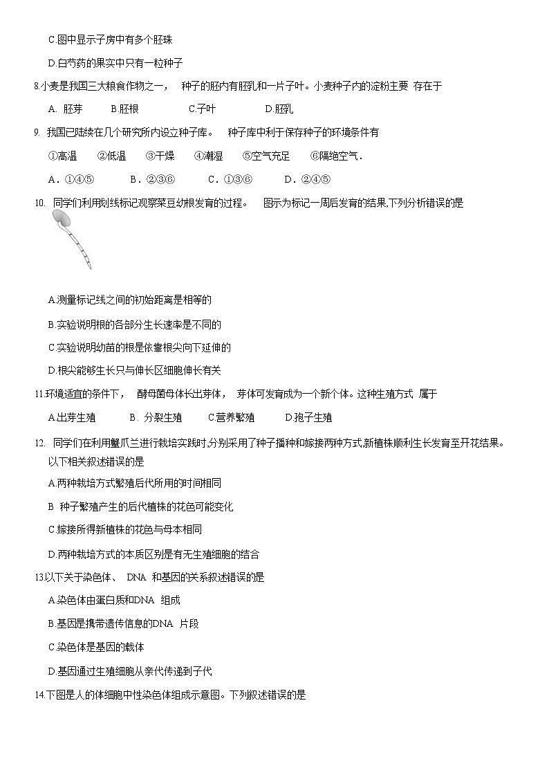 2021北京朝阳区八年级（上）期末生物试题（原卷版）02