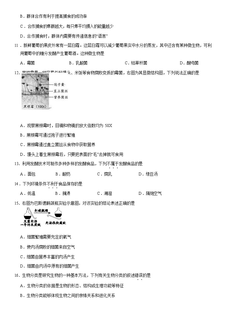 2021北京西城区八年级（上）期末生物试题（原卷版）03