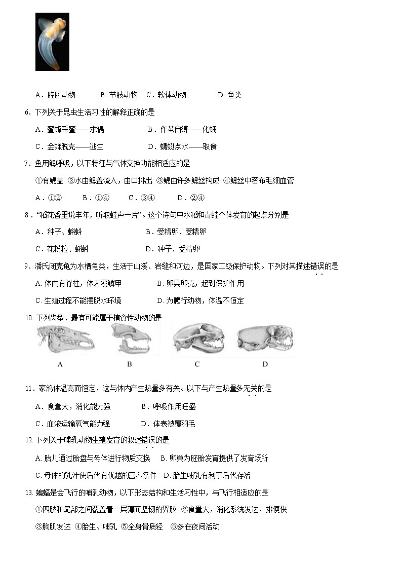 2021北京海淀区八年级（上）期末生物试题（原卷版）02