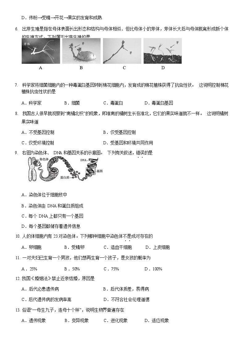 2021北京昌平区八年级（上）期末生物试题（解析版）02