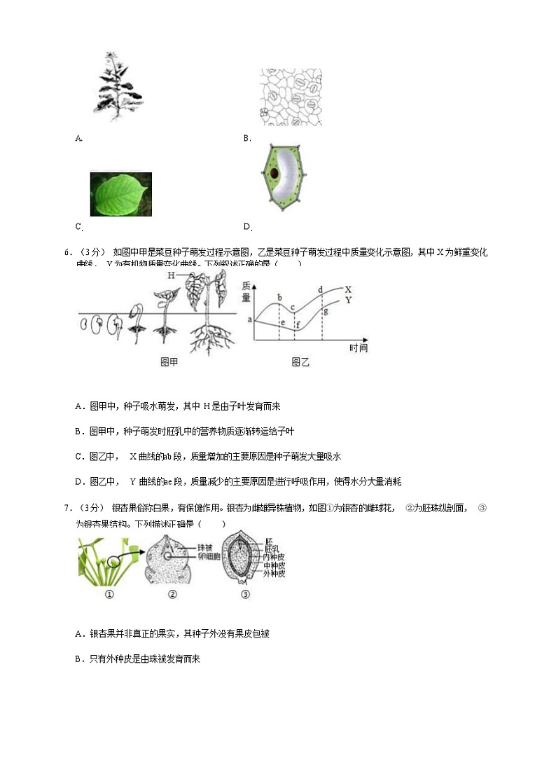 2020北京燕山区八年级（上）期末生物试题（解析版）第2页