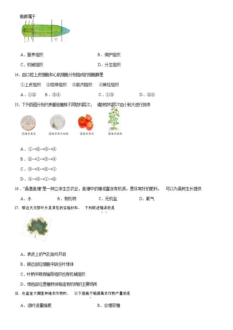 2021北京石景山区七年级（上）期末生物试题（原卷版）03