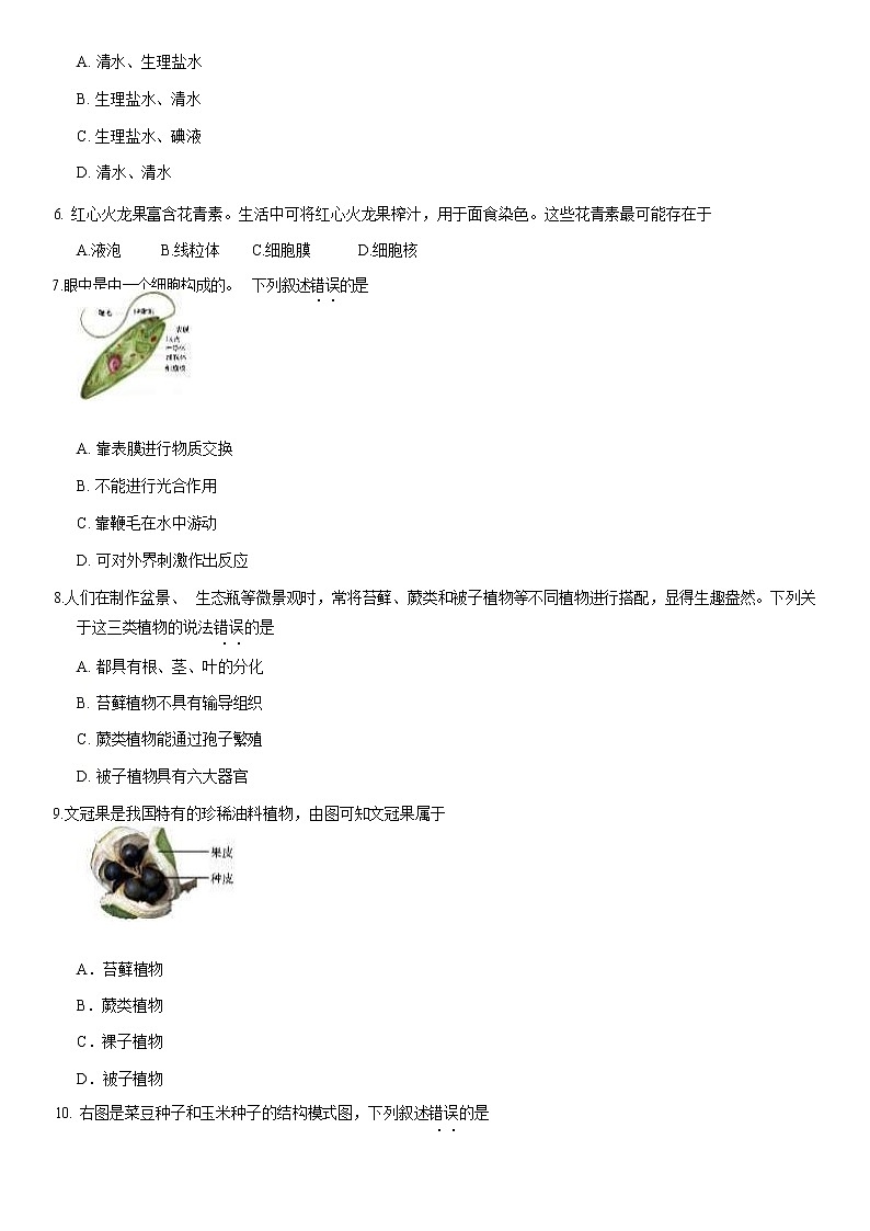 2021北京海淀区七年级（上）期末生物试题（原卷版）02