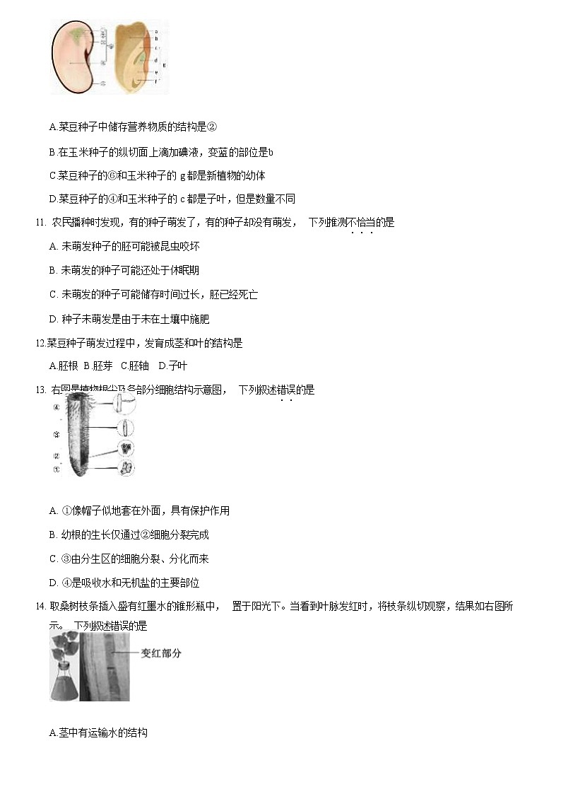 2021北京海淀区七年级（上）期末生物试题（原卷版）03