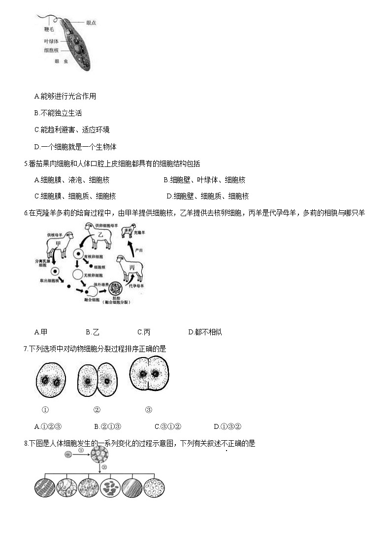 2021北京密云区七年级（上）期末生物试题（解析版）02