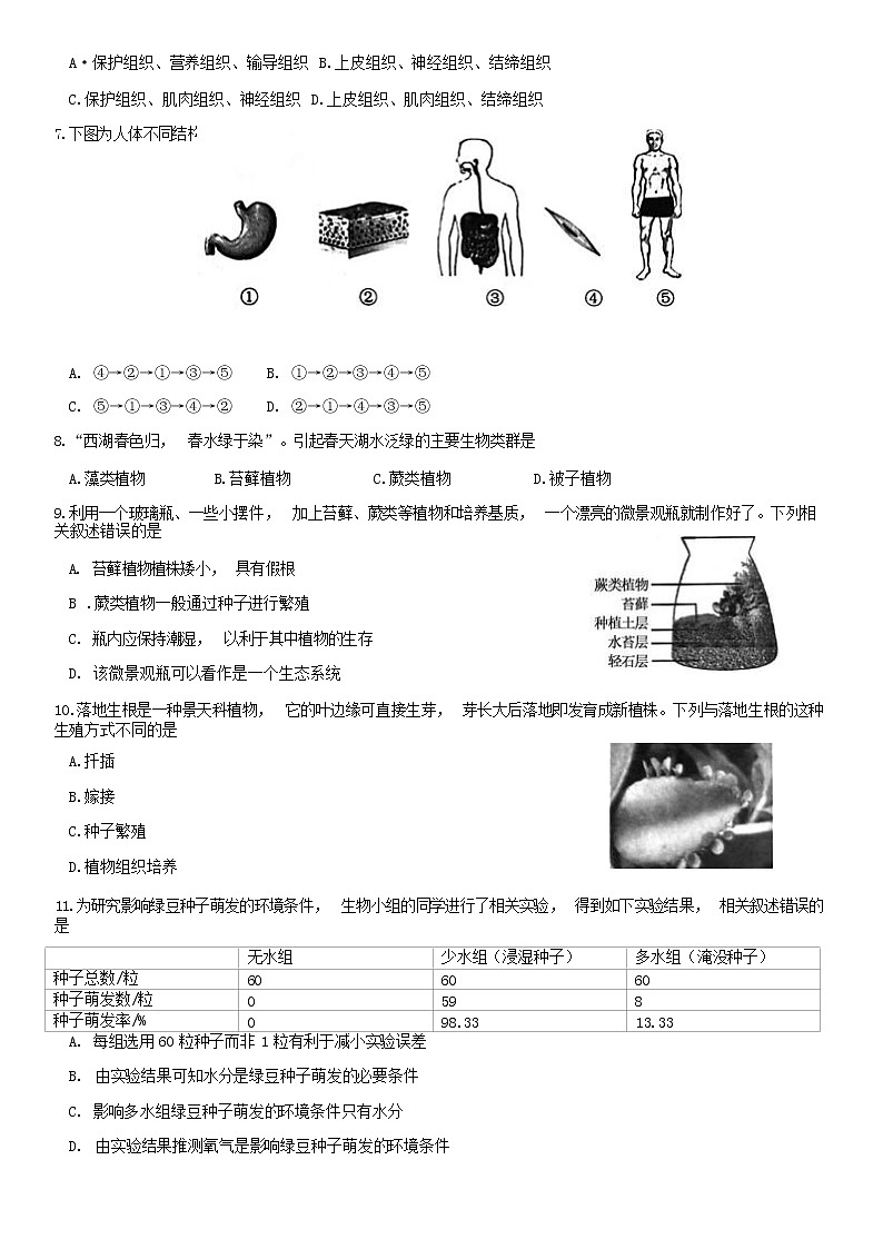 2020北京西城区七年级（上）期末生物试题（原卷版）第2页