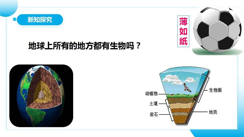 【核心素养目标】人教版 (新课标)初中生物七年级上册1.2.3《生物圈是最大的生态系统》课件+教案+同步分层练习（含答案）06