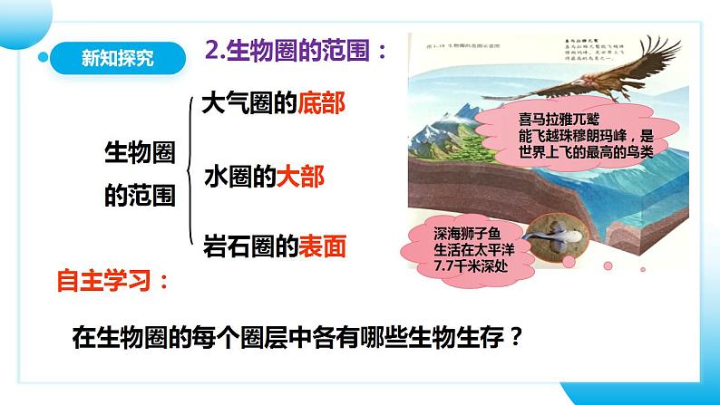 【核心素养目标】人教版 (新课标)初中生物七年级上册1.2.3《生物圈是最大的生态系统》课件+教案+同步分层练习（含答案）08