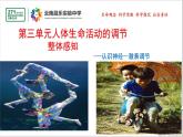 2021-2022学年人教版生物七年级下册《神经系统的组成》课件