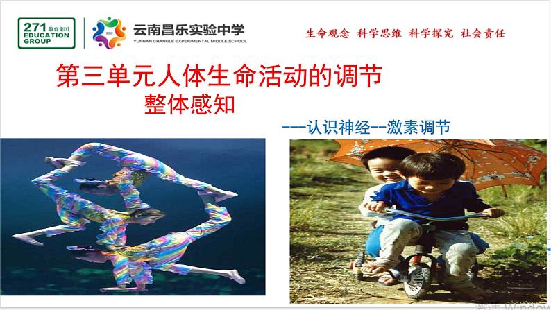 2021-2022学年人教版生物七年级下册《神经系统的组成》课件第2页