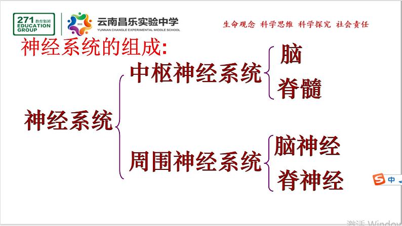 2021-2022学年人教版生物七年级下册《神经系统的组成》课件第6页