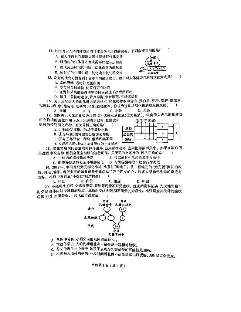 河南省洛阳市涧西区2021-2022学年八年级下学期期中生物试卷（无答案）03