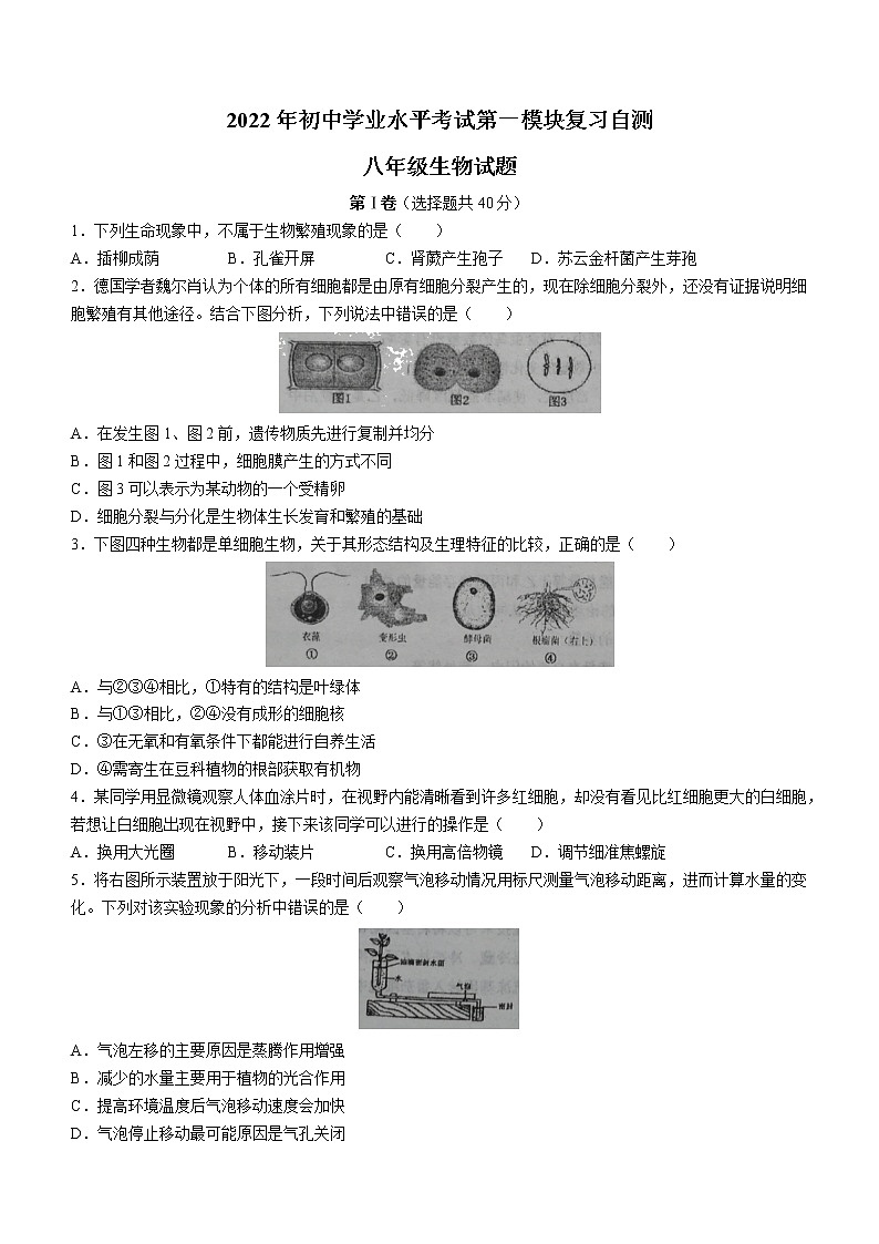 2022年山东省潍坊市诸城市中考一模生物试题第1页