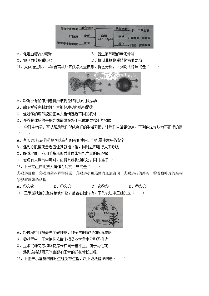 2022年山东省潍坊市诸城市中考一模生物试题第3页