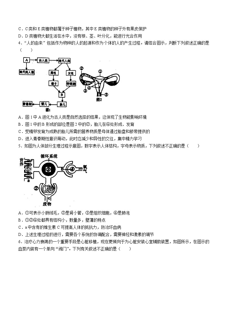 2022年山东省东营市广饶县中考第一次模拟考试生物试题第2页