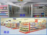北师大版八下生物 22.1生物的分类 课件