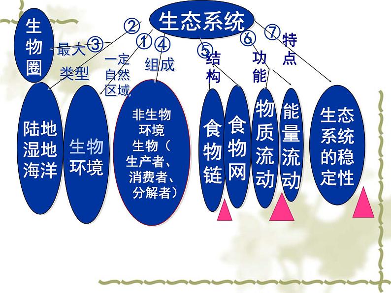 北师大版八下生物 23.1生物的生存依赖一定的环境 课件05