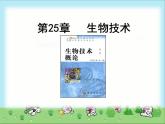 北师大版八下生物 25.1发酵技术 课件