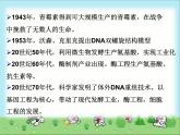 北师大版八下生物 25.1发酵技术 课件