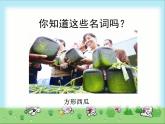北师大版八下生物 25.1发酵技术 课件
