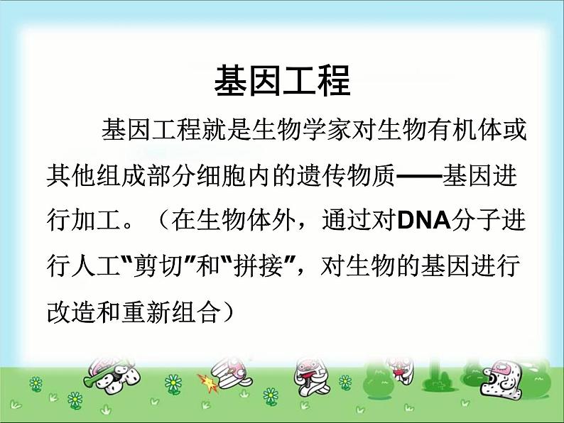 北师大版八下生物 25.1发酵技术 课件第6页