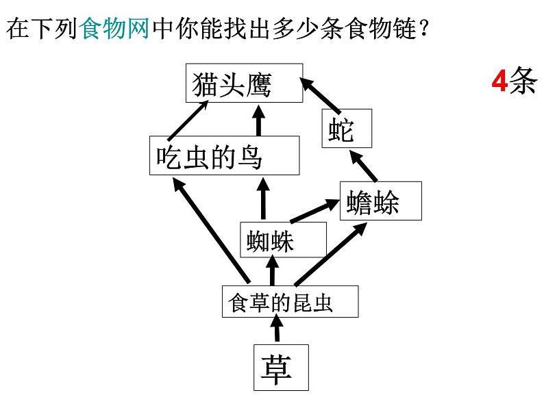 北师大版八下生物 23.3生态系统的结构和功能 课件04