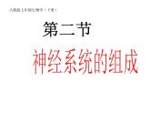 人教版七下生物 6.2神经系统的组成 课件