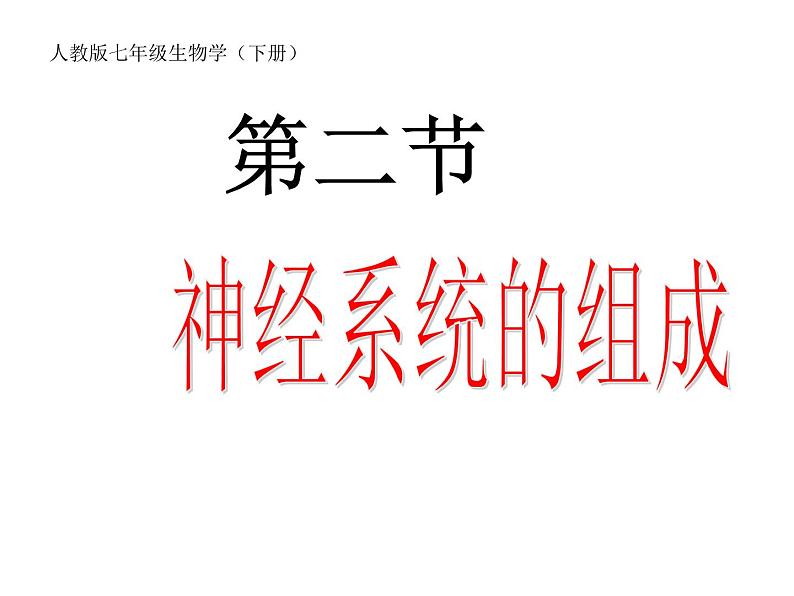 人教版七下生物 6.2神经系统的组成 课件第1页