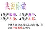 人教版七下生物 6.2神经系统的组成 课件
