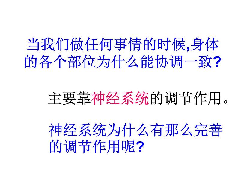 人教版七下生物 6.2神经系统的组成 课件第6页