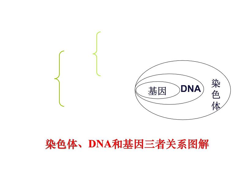 人教版八下生物 7.2.5生物的变异 课件08