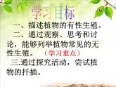 人教版八下生物 7.1.1植物的生殖 课件
