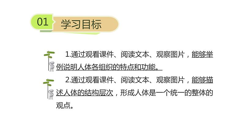 苏科版七下生物 9.2 人体的组成 课件02
