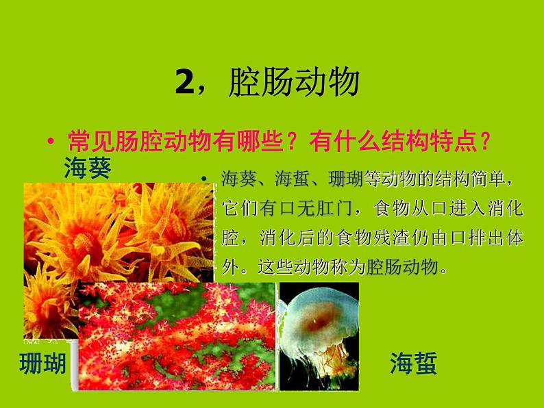 苏科版七下生物 10.1 水中的动物 课件05