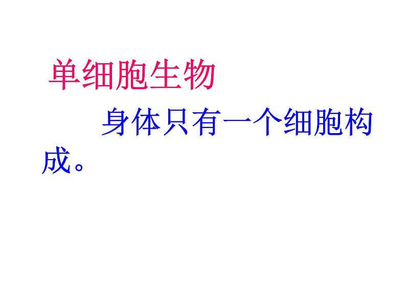 苏科版七下生物 9.3 单细胞的生物体 课件07