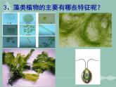 苏科版七下生物 10.2 水中的藻类植物 课件