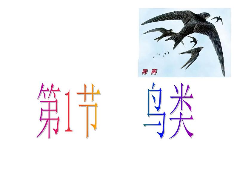 苏科版七下生物 12.1 鸟类 课件第1页