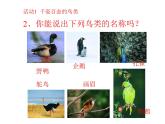 苏科版七下生物 12.1 鸟类 课件