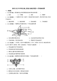 中考生物二轮复习测试专题14 开花和结果(原卷+解析)