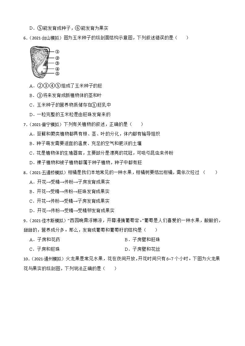 中考生物二轮复习测试专题14 开花和结果(原卷+解析)第2页