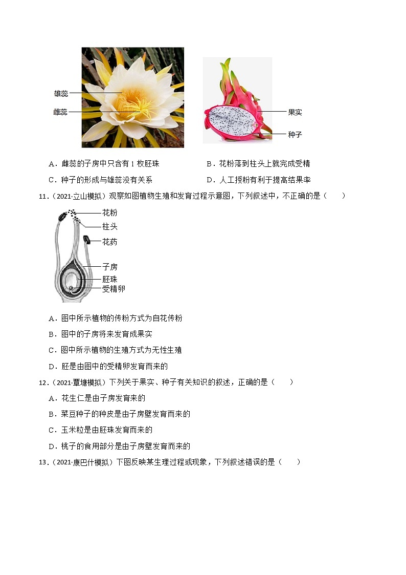 中考生物二轮复习测试专题14 开花和结果(原卷+解析)第3页