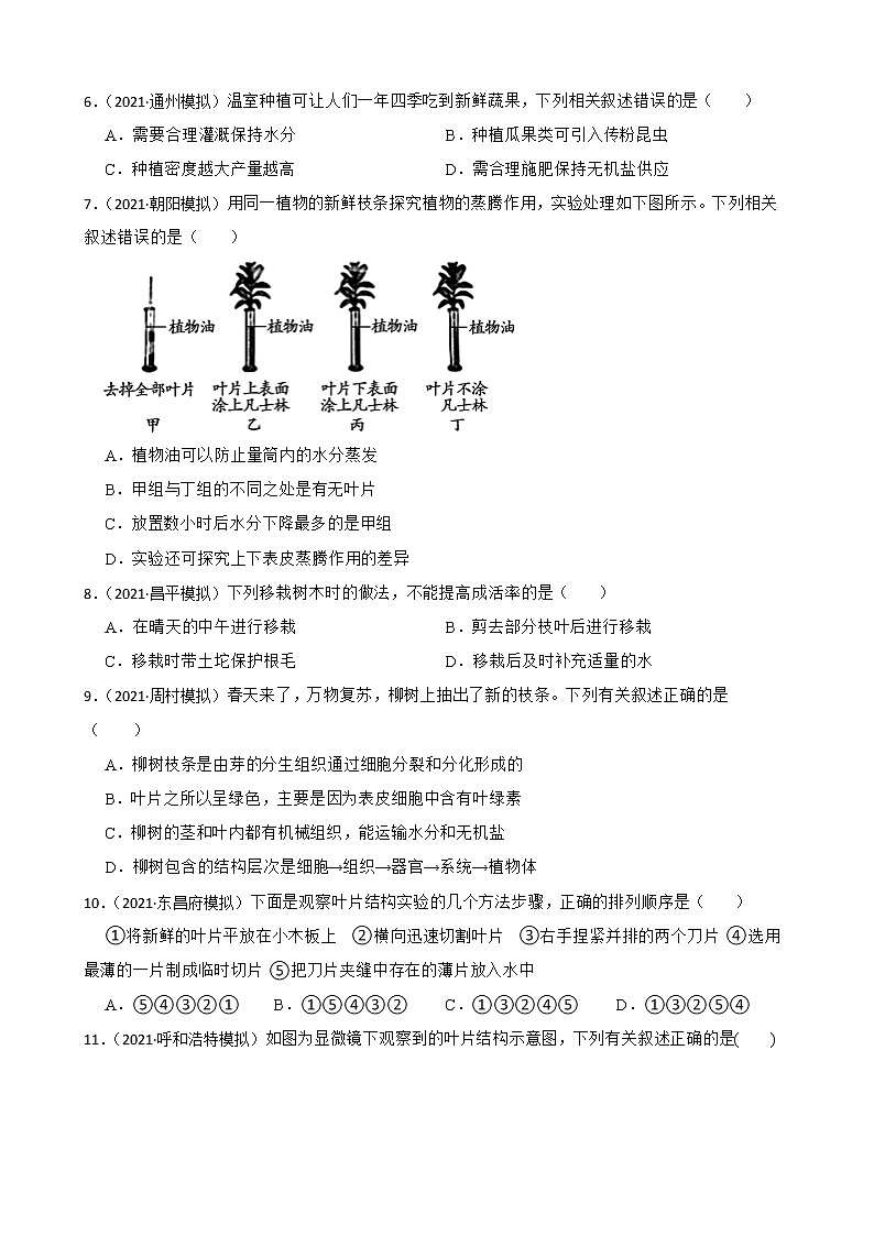 中考生物二轮复习测试专题15 植物的蒸腾作用(原卷+解析)第2页