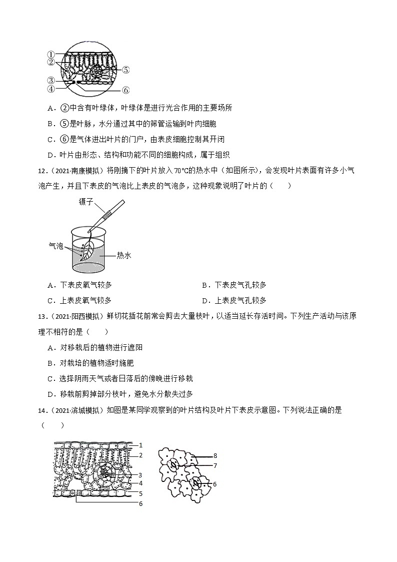 中考生物二轮复习测试专题15 植物的蒸腾作用(原卷+解析)第3页