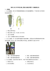 中考生物二轮复习测试专题13 植株的生长(原卷+解析)