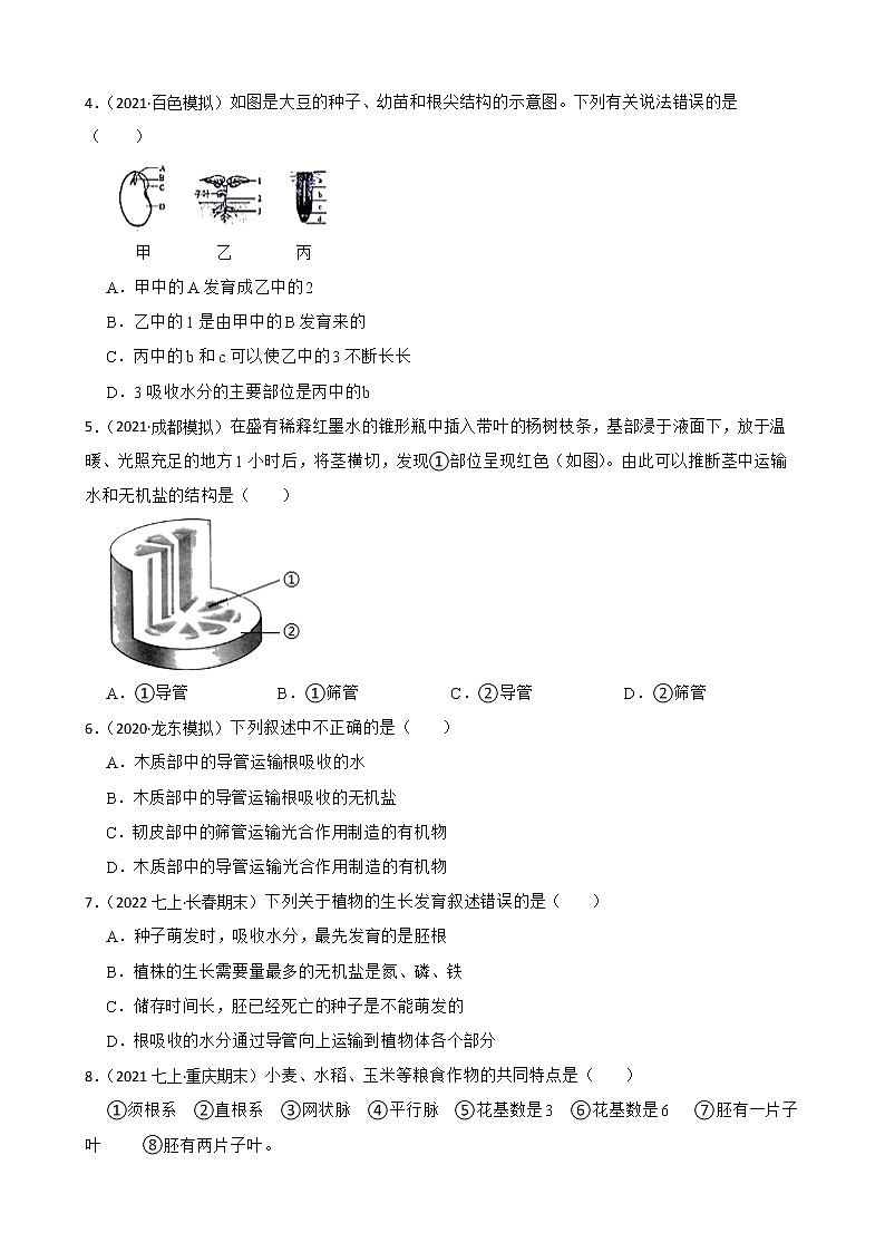 中考生物二轮复习测试专题13 植株的生长(原卷+解析)第2页