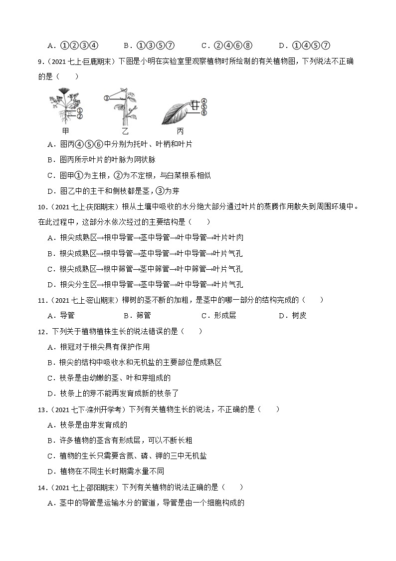 中考生物二轮复习测试专题13 植株的生长(原卷+解析)第3页