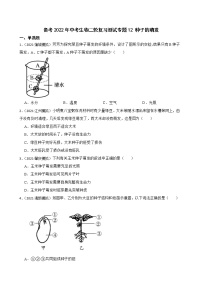 中考生物二轮复习测试专题12 种子的萌发(原卷+解析)