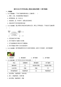 中考生物二轮复习测试专题11 种子植物(原卷+解析)